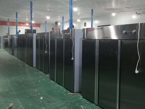 消毒柜什么牌子好？深圳嘉英联专业销售与咨询服务